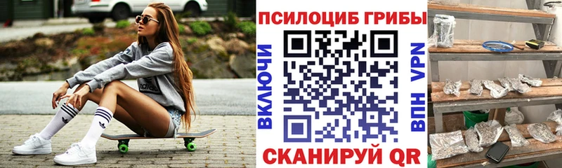 Галлюциногенные грибы мицелий  Купить закладки  Саянск 